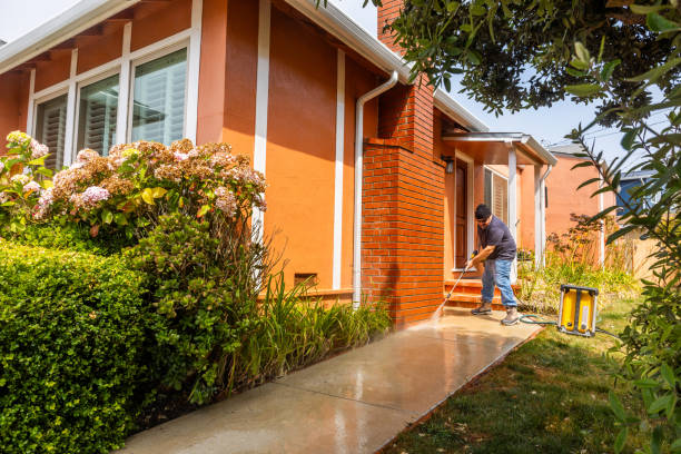 Best Exterior Home Cleaning  in Lake Leann, MI