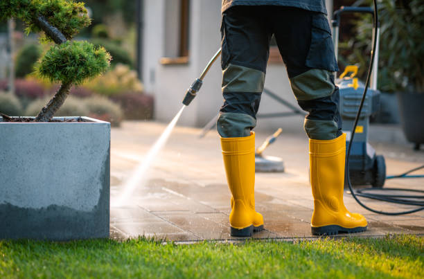 Best Residential Pressure Washing Services  in Lake Leann, MI